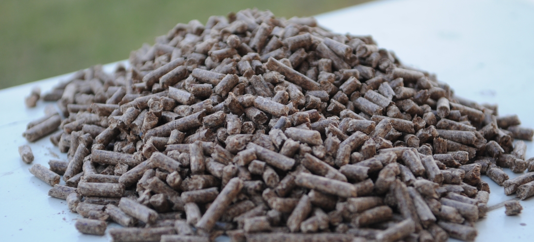 pellets-slide4